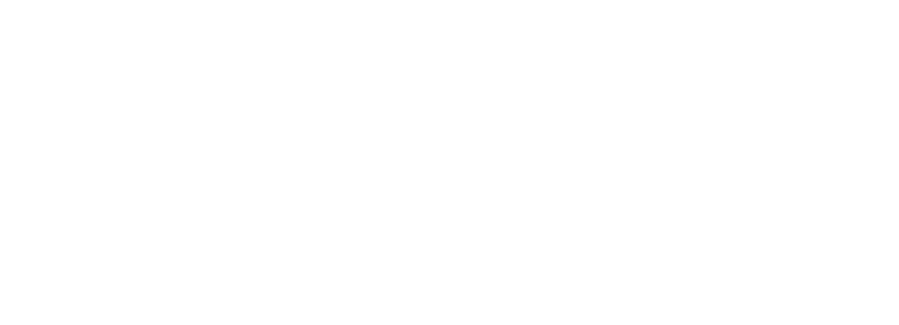 ROMAX Professional — brand in definizione